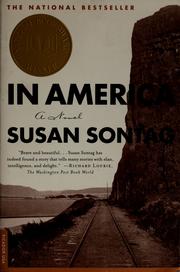 Cover of: In America: a novel