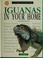 Cover of: Iguanas in your home