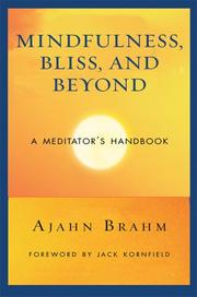 Cover of: Mindfulness, Bliss, and Beyond: A Meditator's Handbook