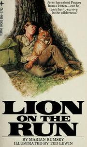 Cover of: Lion on the run by Marian Rumsey