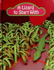 Cover of: A Lizard to start with