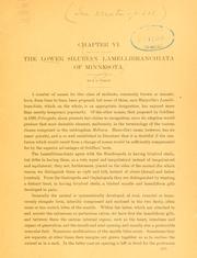 Cover of: Lower Silurian Lamellibranchiata of Minnesota