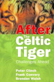 After the Celtic tiger : challenges ahead