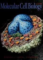 Cover of: Molecular cell biology by James Darnell, Harvey Lodish, David Baltimore.