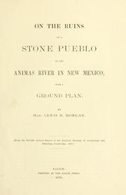 Cover of: On the ruins of a stone pueblo on the Animas River in New Mexico: with a Ground Plan.