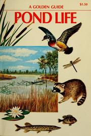Cover of: Pond life by George Kell Reid
