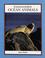 Cover of: fat gits Endangered ocean animals