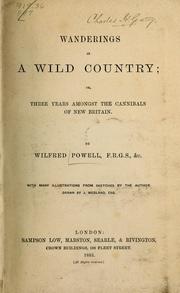 Cover of: Wanderings in a wild country: or, three years amongst the cannibals of New Britain