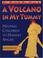 Cover of: A Volcano in My Tummy: Helping Children to Handle Anger 