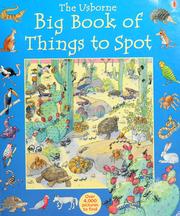 Cover of: The Usborne big book of things to spot