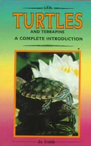 Cover of: Complete Introduction to Turtles and Terrapins (Complete Introduction)