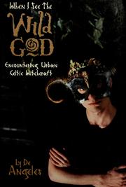 Cover of: When I see the wild god: encountering urban Celtic witchcraft
