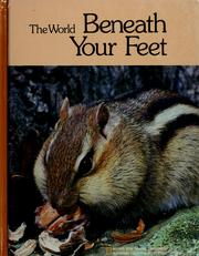 Cover of: The world beneath your feet