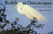 Bird life at Chincoteague and the Virginia barrier islands by Brooke Meanley