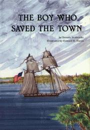 Cover of: The boy who saved the town