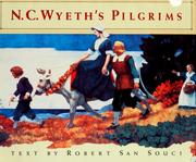 Cover of: N. C. Wyeth's pilgrims