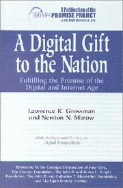 A digital gift to the nation : fulfilling the promise of the digital and Internet age : with background papers on digital perspectives