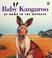 Cover of: Baby kangaroo