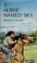 Cover of: A horse named Sky
