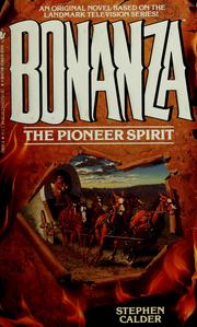 Cover of: The pioneer spirit