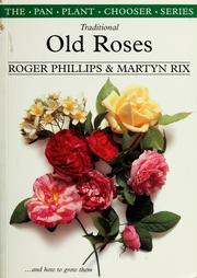 Cover of: Traditional old roses by Roger Phillips