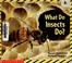Cover of: What do insects do?