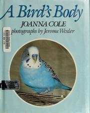 Cover of: A bird's body by Mary Pope Osborne