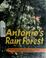 Cover of: Antonio's rain forest