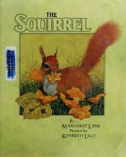 Cover of: The squirrel