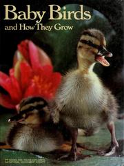 Cover of: Baby birds and how they grow by Jane R. McCauley