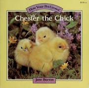 Cover of: Chester the chick