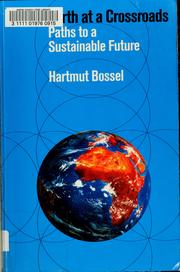 Earth at a crossroads by Hartmut Bossel