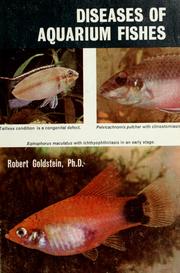 Cover of: Diseases of aquarium fish by Gottfried Schubert