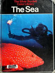 Cover of: The sea by Jonathan Rutland