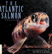 Cover of: The Atlantic salmon by Bianca Lavies