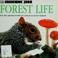 Cover of: Forest life