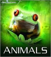 Cover of: Animals by Miranda Smith
