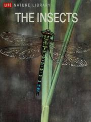 Cover of: The insects by Peter Farb