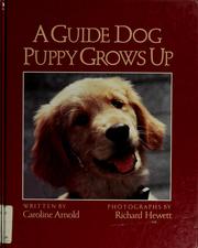 Cover of: A guide dog puppy grows up by Caroline Arnold