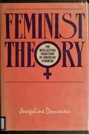 Cover of: Feminist theory: the intellectual traditions of American feminism