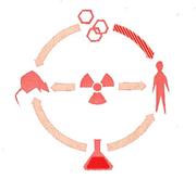Cover of: Special virus cancer program | National Cancer Institute (U.S.). Viral Oncology Area.