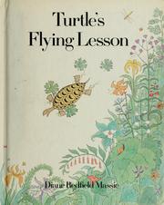 Cover of: Turtle's flying lesson.