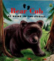 Cover of: Bear cub by Sarah Toast