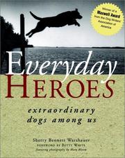 Everyday heroes by Sherry Bennett Warshauer