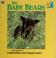 Cover of: The baby bears