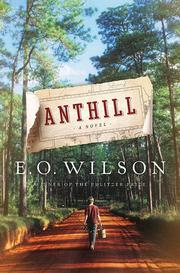 Anthill : a novel