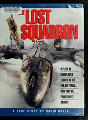 Cover of: The lost squadron by David Hayes