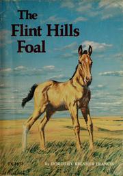 Cover of: The Flint Hills foal