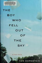 Cover of: The boy who fell out of the sky: a true story