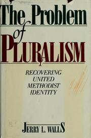 Cover of: The problem of pluralism: recovering United Methodist identity